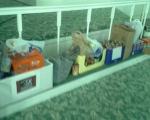 Fan Food Drive 2014